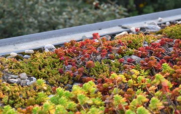 the cost of Kielder green roof installation
